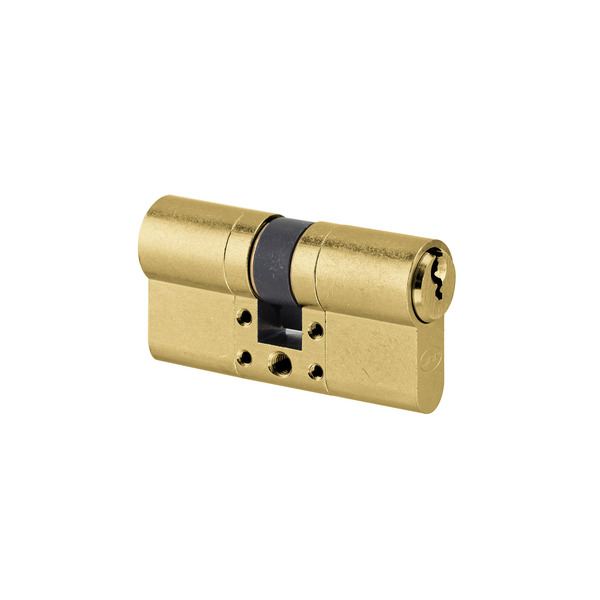 S11 - Standard Modular Cylinder (50x50mm) - Titanium Gold