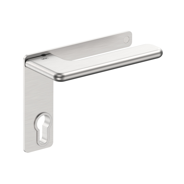 Lever handle with plate