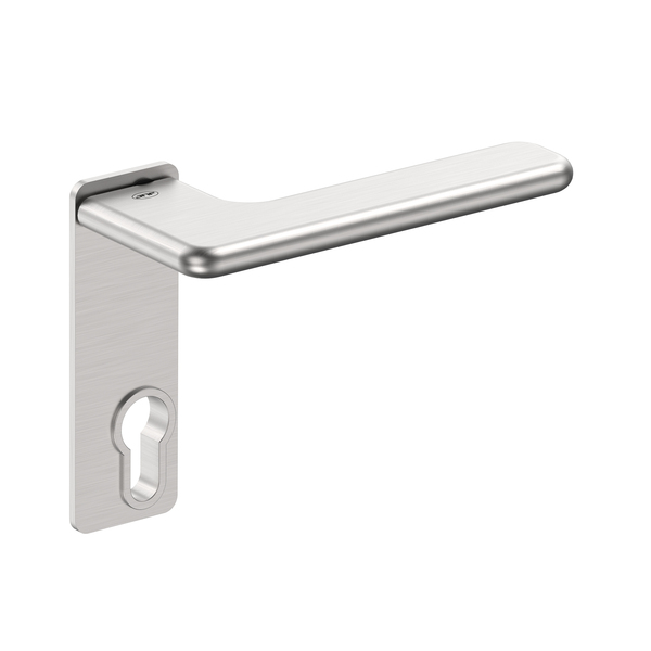 Lever handle with plate