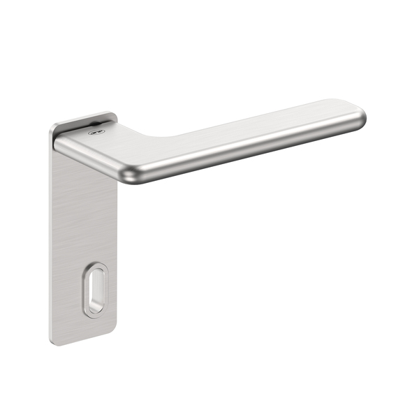 Lever handle with plate