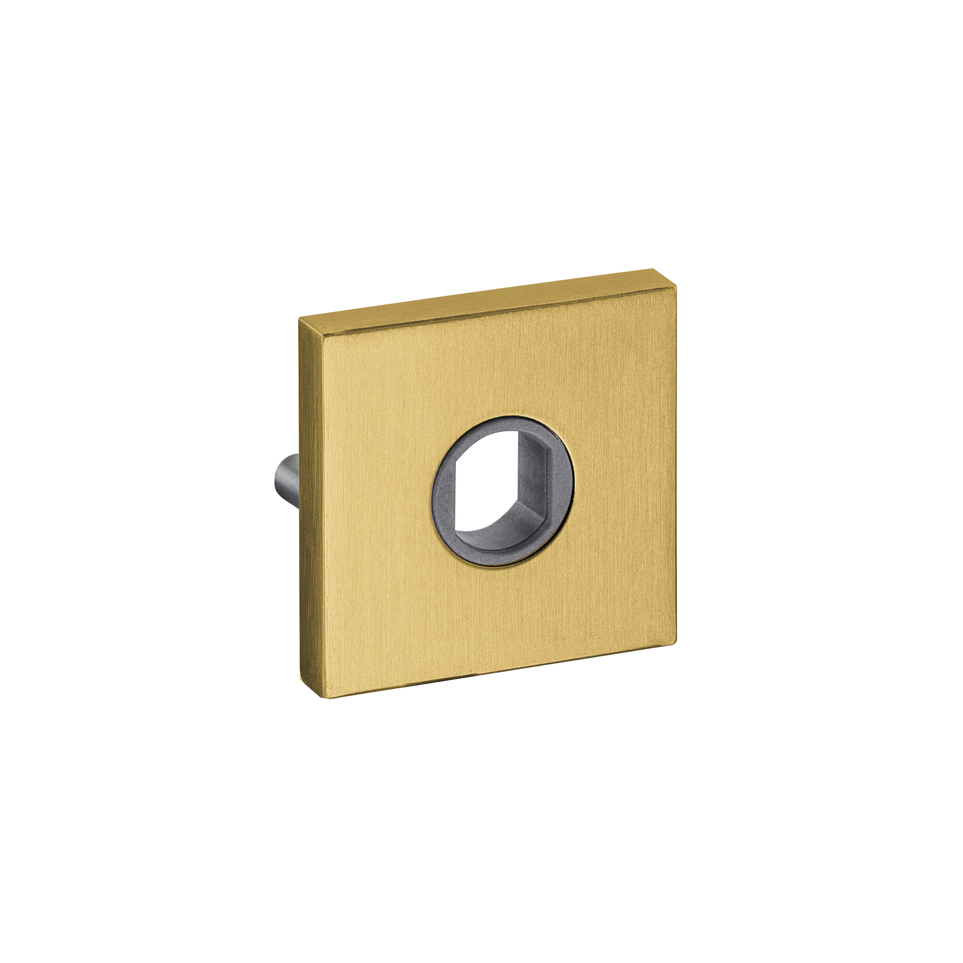 Roseta QD08M.TG PVD Titanium Gold
