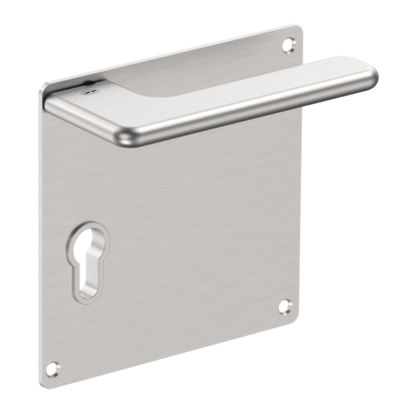 Lever handle with plate